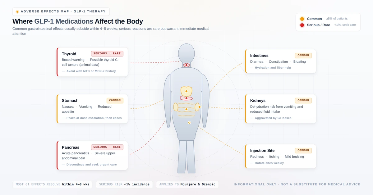 Diagram showing common and serious side effects of GLP-1 medications Mounjaro and Ozempic on the human body