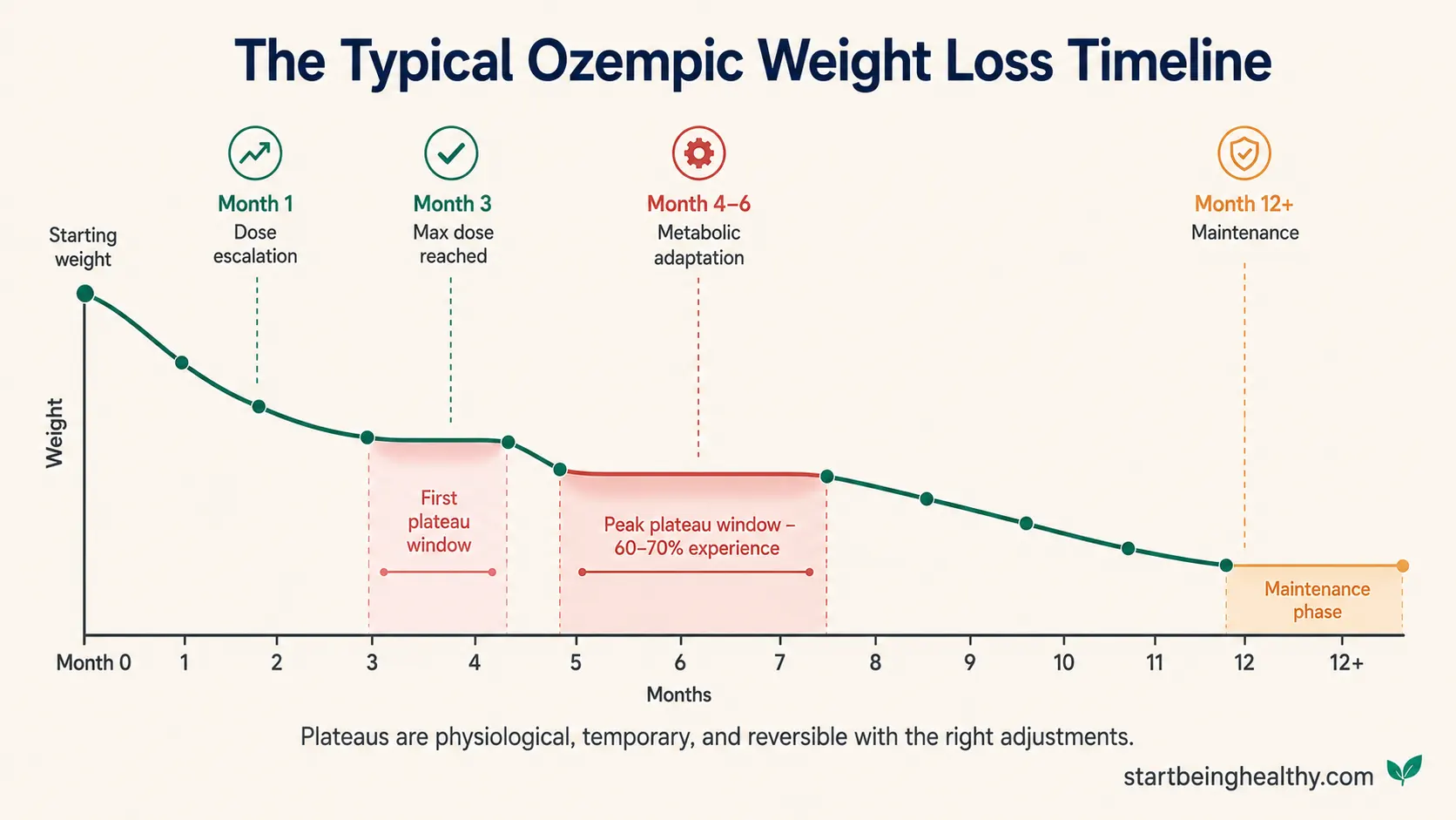 Ozempic weight loss timeline chart showing typical progression from initial rapid loss in months 1-3 through first plateau window at month 3-4 peak plateau at months 4-6 continued gradual loss to month 12 and maintenance phase